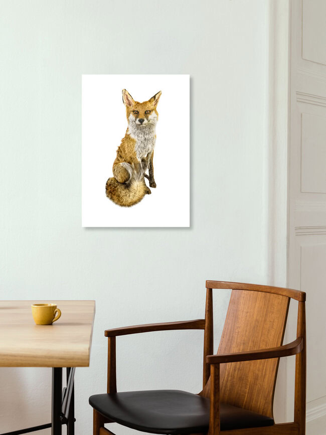 Rarity Cabinet Animal Fox, Niederlande – Fotokunst von Marielle Leenders als Poster oder Acrylglasbild