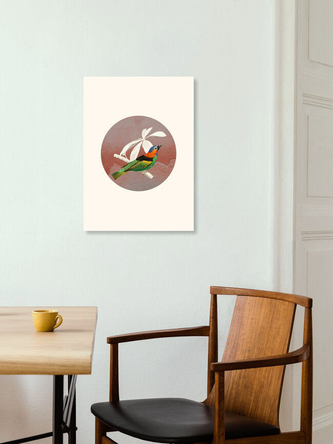 'Bird Collage II' – Wall Art by Seven Trees Design as Poster or Acrylic Glass Print