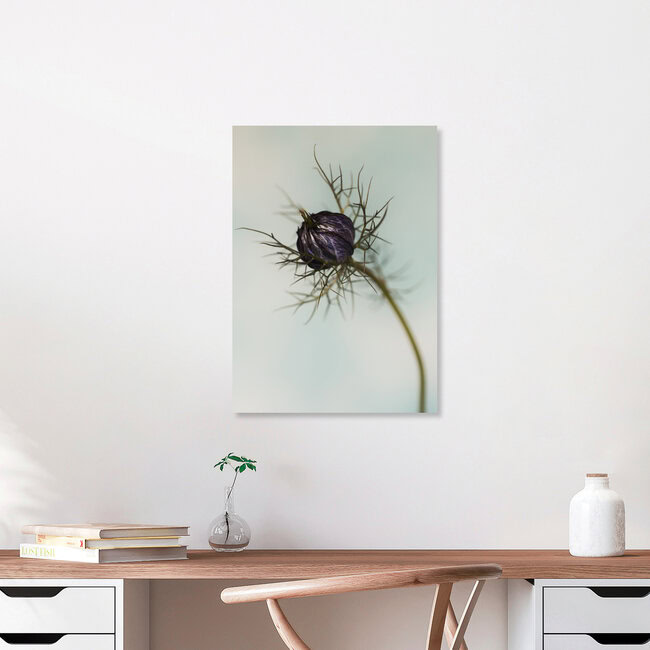 Maiden in the countryside, Germany – wall art by Manuela Deigert as Poster or Acrylic Glass Print