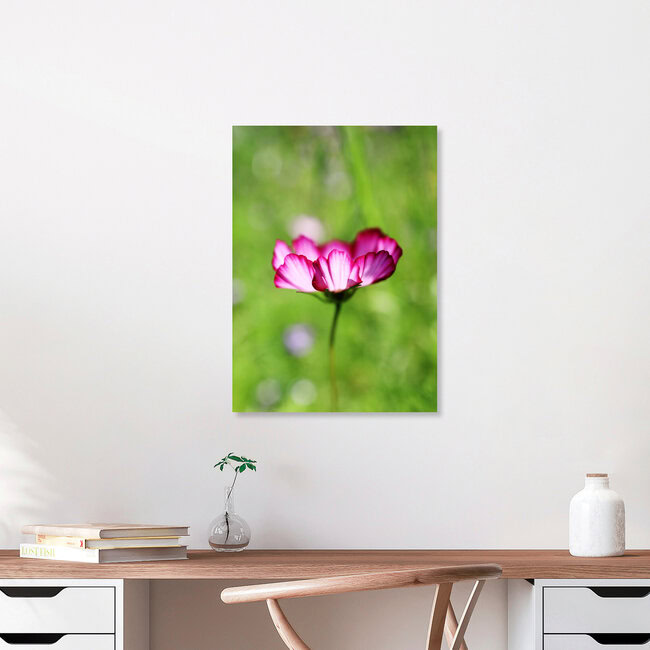 Pink summer glow, Germany – wall art by Manuela Deigert as Poster or Acrylic Glass Print