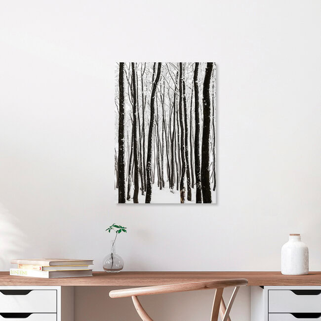 monochrome Eiszeit II, Deutschland – Fotokunst von Heiko Gerlicher als Poster oder Acrylglasbild