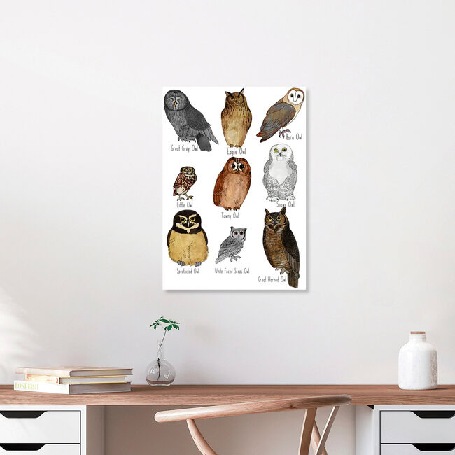 Wandbild 'Types of Owls' – Kunst von Katherine Blower als Poster oder Acrylglasbild