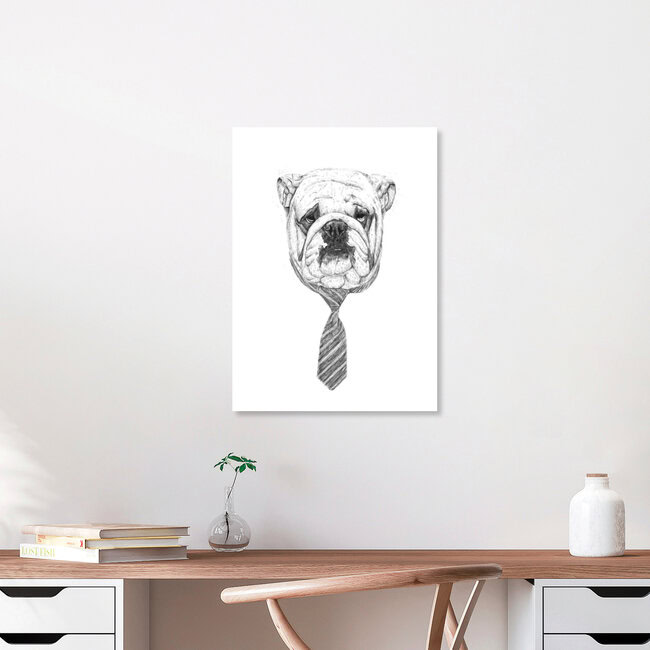 Wandbild 'Cooldog' – Kunst von Balazs Solti als Poster oder Acrylglasbild