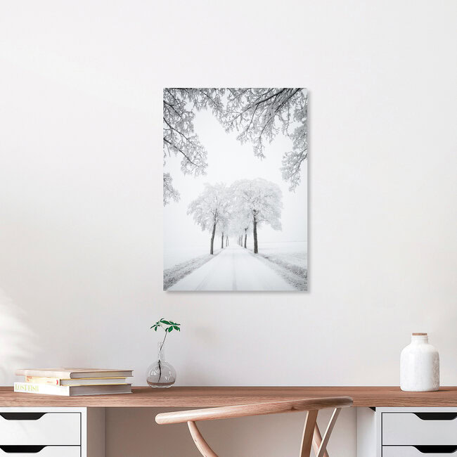 Ahornallee II, Deutschland – Fotokunst von Heiko Gerlicher als Poster oder Acrylglasbild