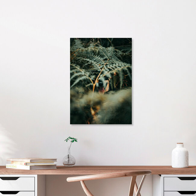 Chameleon Max, Polen – Fotokunst von Jakub Wencek als Poster oder Acrylglasbild
