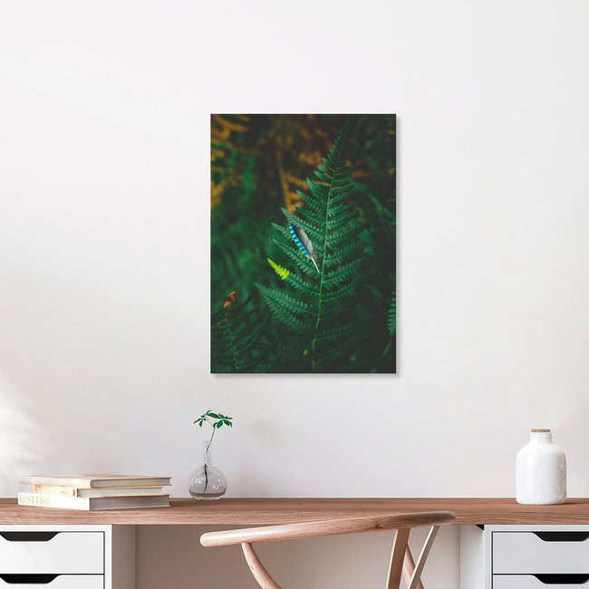 The lost feather, Poland – wall art by Jakub Wencek as Poster or Acrylic Glass Print