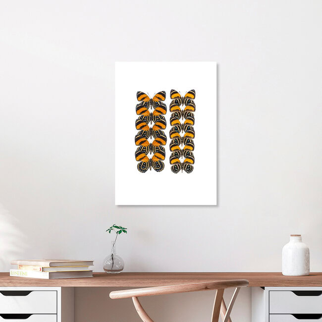 Rarity Cabinet Butterfly Orange 2, Netherlands – wall art by Marielle Leenders as Poster or Acrylic Glass Print