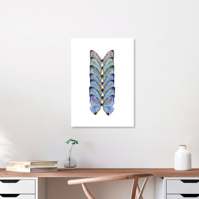 Rarity Cabinet Butterfly Blue, Netherlands – wall art by Marielle Leenders as Poster or Acrylic Glass Print