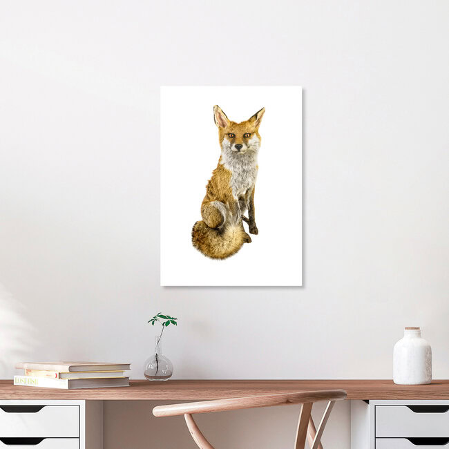 Rarity Cabinet Animal Fox, Niederlande – Fotokunst von Marielle Leenders als Poster oder Acrylglasbild