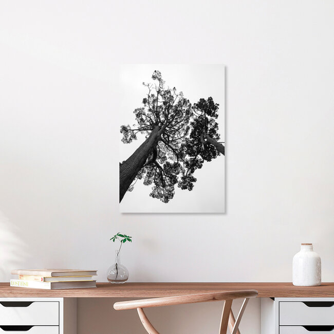 Japanese Garden, South Africa – wall art by Shot By Clint as Poster or Acrylic Glass Print