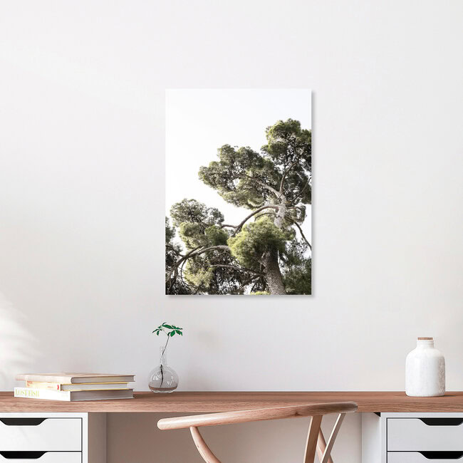 Japanese Garden 1, Japan – wall art by Shot By Clint as Poster or Acrylic Glass Print