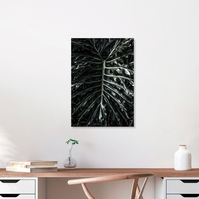 Jungle, South Africa – wall art by Shot By Clint as Poster or Acrylic Glass Print