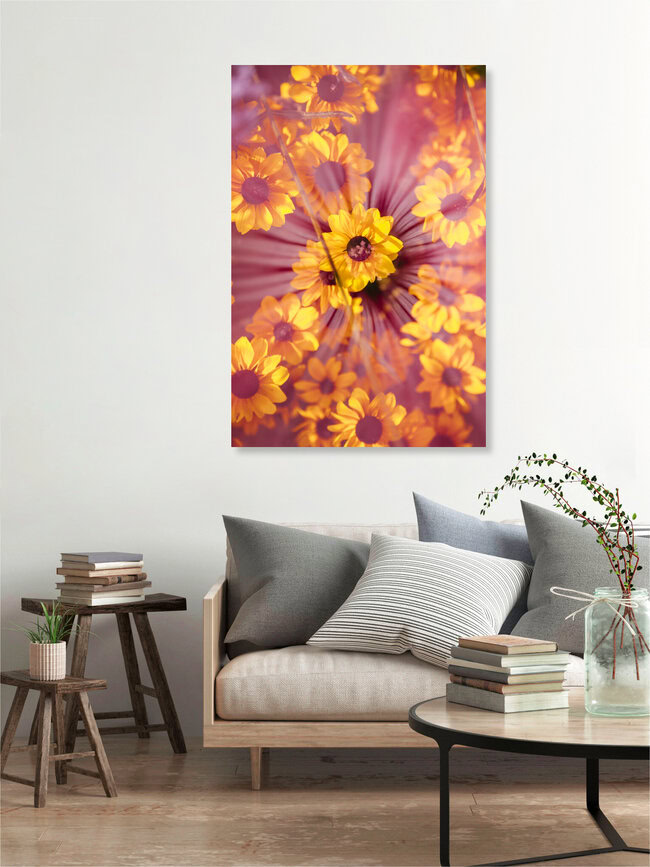 Bechermalve mit Sonnenhut Toto, Deutschland – Fotokunst von Nadja Jacke als Poster oder Acrylglasbild