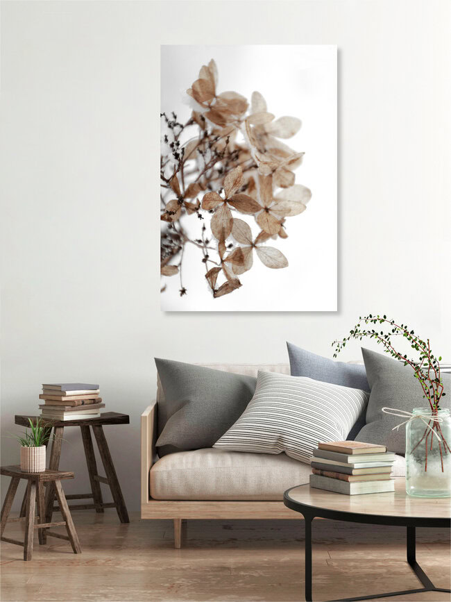 snowy hydrangea flowers 1 of 2 - Hortensie, Germany – wall art by Studio Na.hili as Poster or Acrylic Glass Print