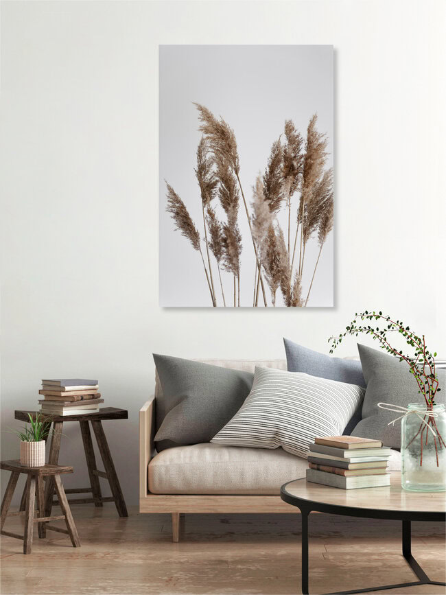 Pampas reed in the WIND, Germany – wall art by Studio Na.hili as Poster or Acrylic Glass Print
