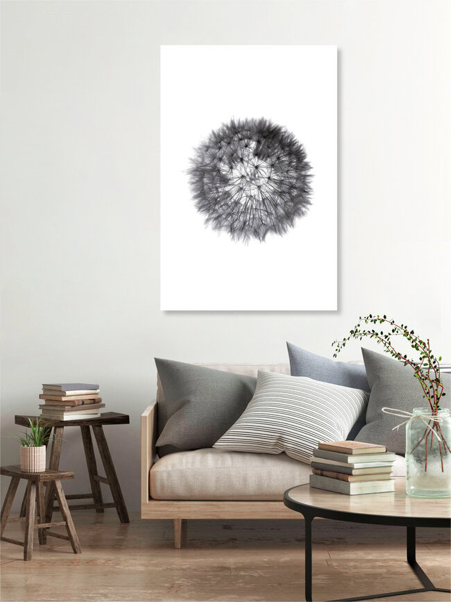 grey GRAFIC dandelion, Germany – wall art by Studio Na.hili as Poster or Acrylic Glass Print