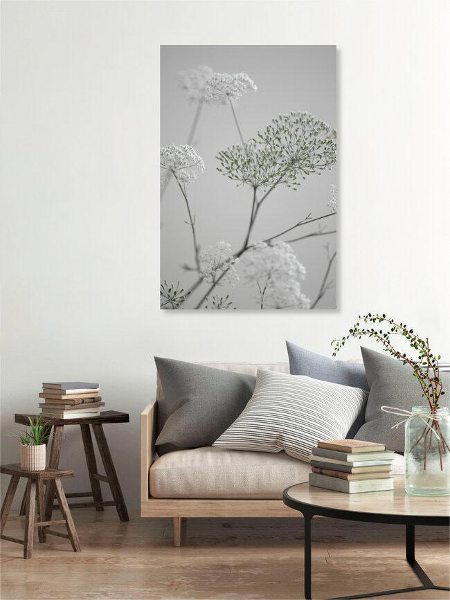 white greige flower blossoms, Deutschland – Fotokunst von Studio Na.hili als Poster oder Acrylglasbild