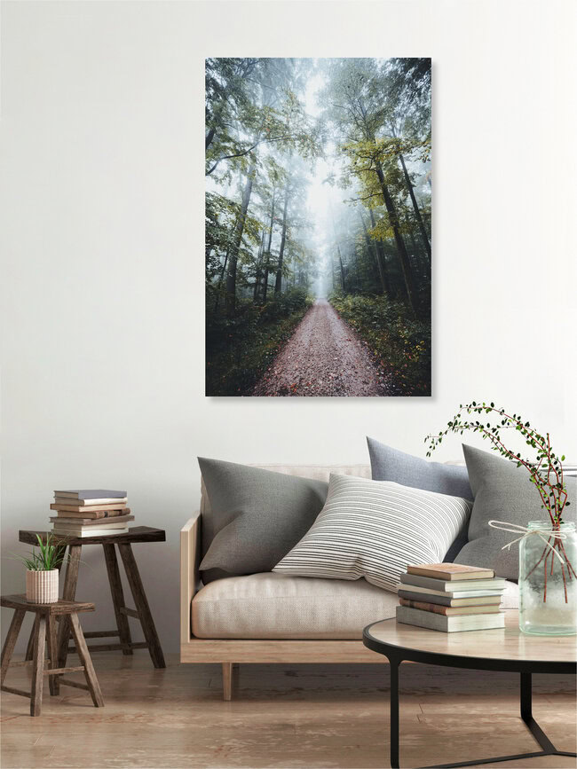 Foggy forest path, Germany – wall art by Patrick Monatsberger as Poster or Acrylic Glass Print