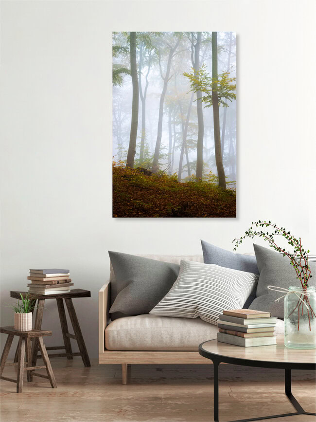 Foggy Forest, Germany – wall art by Martin Wasilewski as Poster or Acrylic Glass Print