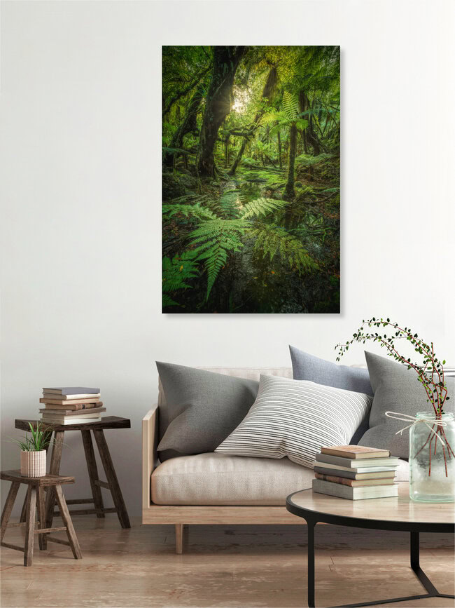 Neuseeland Urwald am Fox Glacier, Neuseeland – Fotokunst von Jean Claude Castor als Poster oder Acrylglasbild
