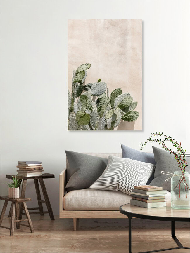 Cactus on the wall, Italien – Fotokunst von Photolovers . als Poster oder Acrylglasbild