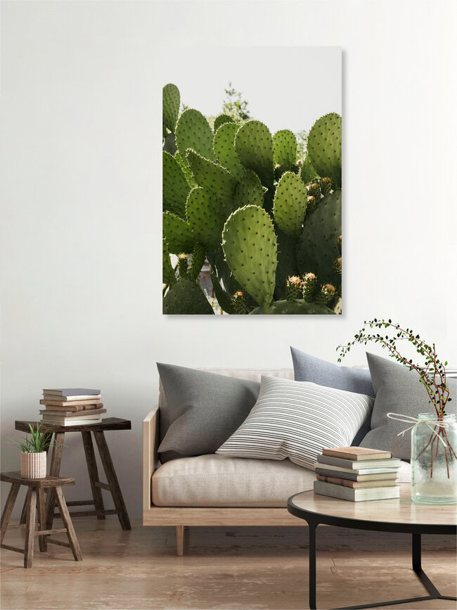 Cactus in the streets of Calabria, Italien – Fotokunst von Photolovers . als Poster oder Acrylglasbild