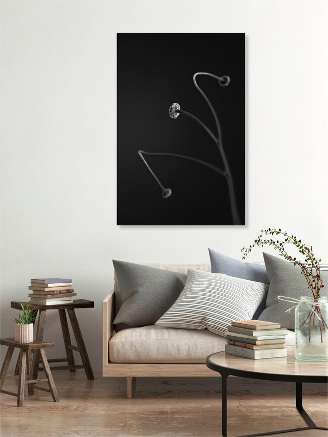 In light of current events VII, Israel – Fotokunst von Tal Paz-fridman als Poster oder Acrylglasbild
