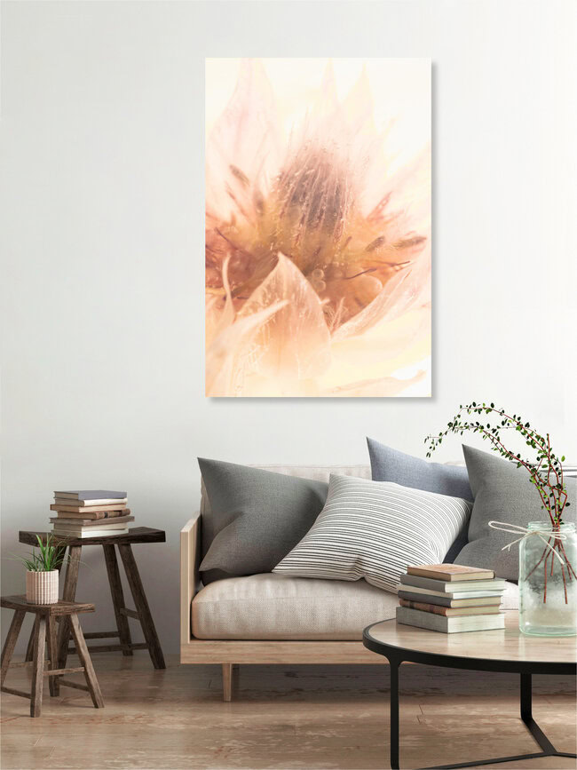 Protea in kristallklarem Eis 1, Deutschland – Fotokunst von Marc Heiligenstein als Poster oder Acrylglasbild