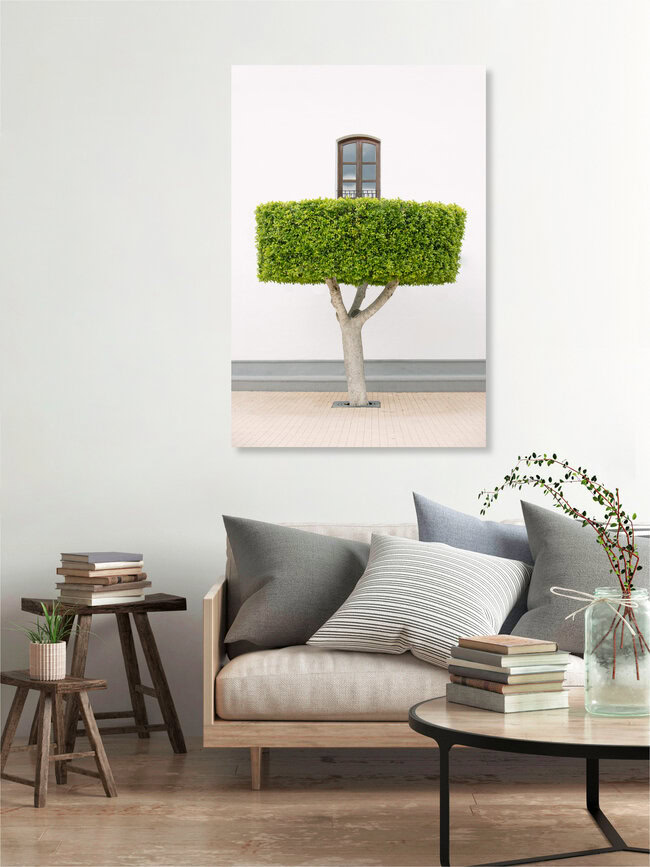 Properly trimmed tree, Spain – wall art by Anke Dörschlen as Poster or Acrylic Glass Print