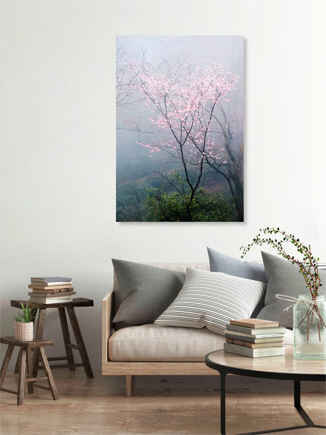 Spring blossoms in China, China – wall art by Victoria Knobloch as Poster or Acrylic Glass Print