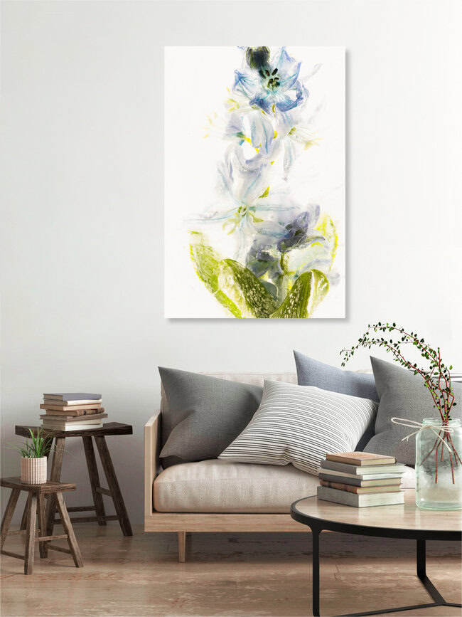 Blaustern in Eis, Deutschland – Fotokunst von Marc Heiligenstein als Poster oder Acrylglasbild