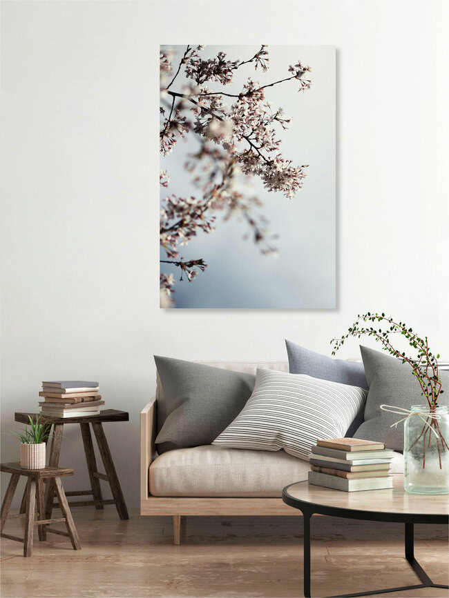 Spring whispers, Germany – wall art by Manuela Deigert as Poster or Acrylic Glass Print