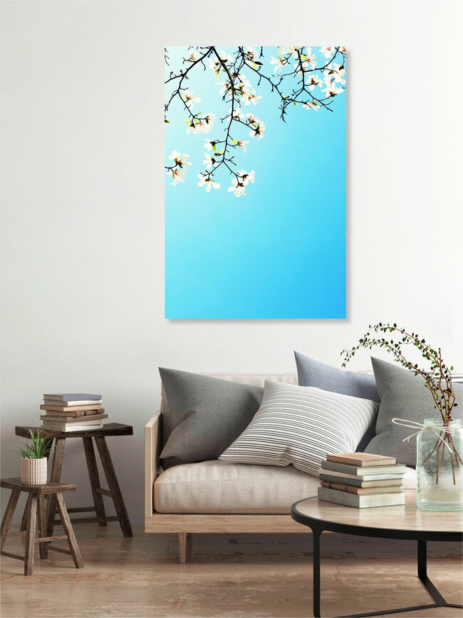 Weiße Magnolien, Deutschland – Fotokunst von Manuela Deigert als Poster oder Acrylglasbild