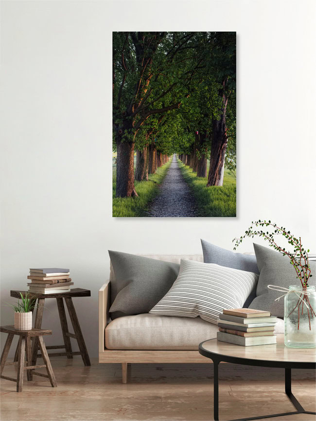 Chestnut Alley, Germany – wall art by Maximilian Fischer as Poster or Acrylic Glass Print