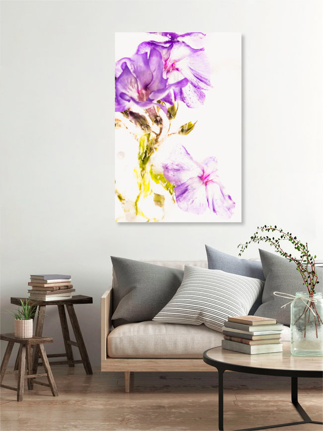 Flammenblumen-Blüten in kristallklarem Eis, Deutschland – Fotokunst von Marc Heiligenstein als Poster oder Acrylglasbild