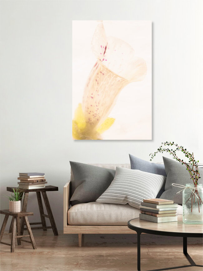 Fingerhut in Eis, Deutschland – Fotokunst von Marc Heiligenstein als Poster oder Acrylglasbild