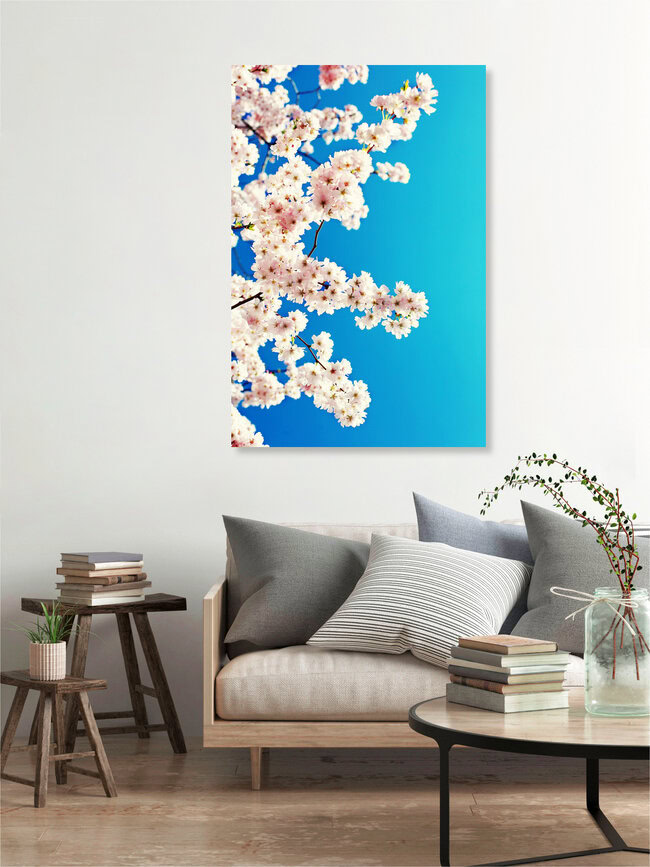 Sky blossoms, Germany – wall art by Manuela Deigert as Poster or Acrylic Glass Print