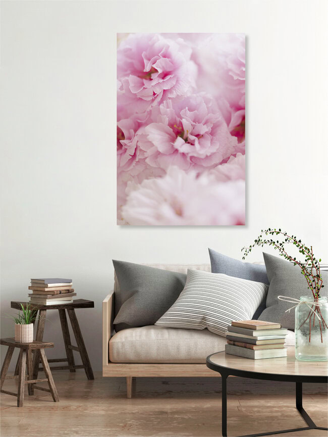 Cherry Blossoms in Full Bloom, Germany – wall art by Nadja Jacke as Poster or Acrylic Glass Print