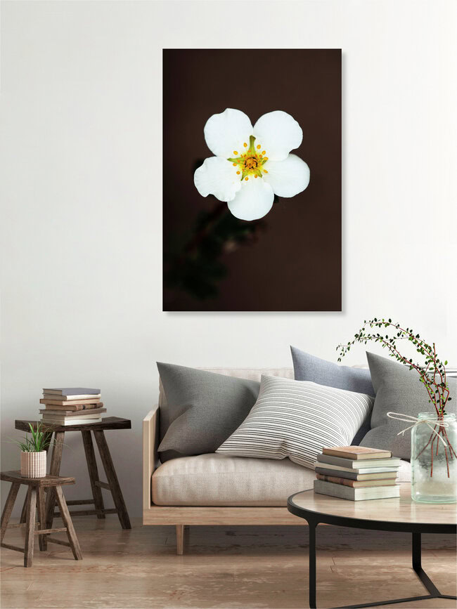 Wide open, Germany – wall art by Manuela Deigert as Poster or Acrylic Glass Print