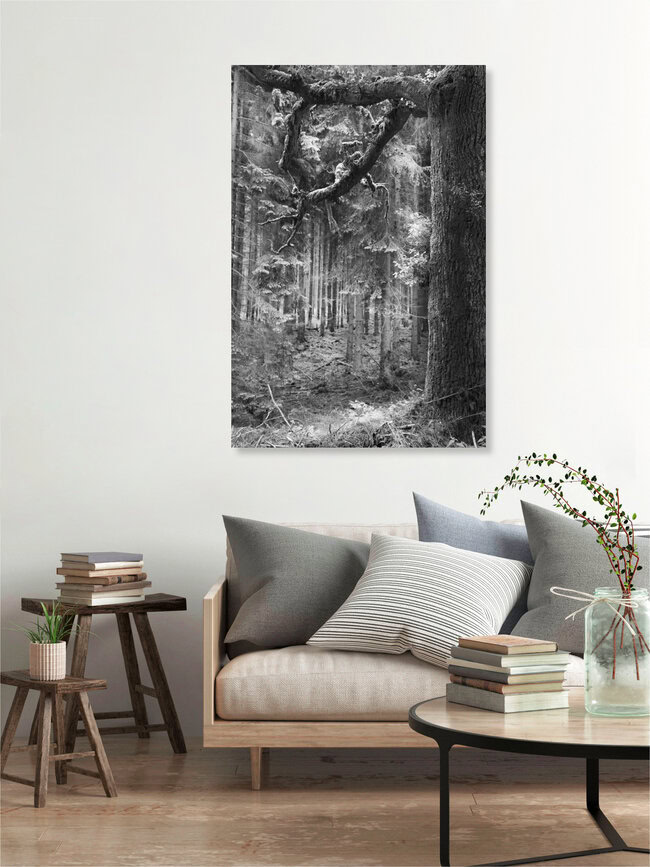 haunted forest, Deutschland – Fotokunst von Andreas Odersky als Poster oder Acrylglasbild