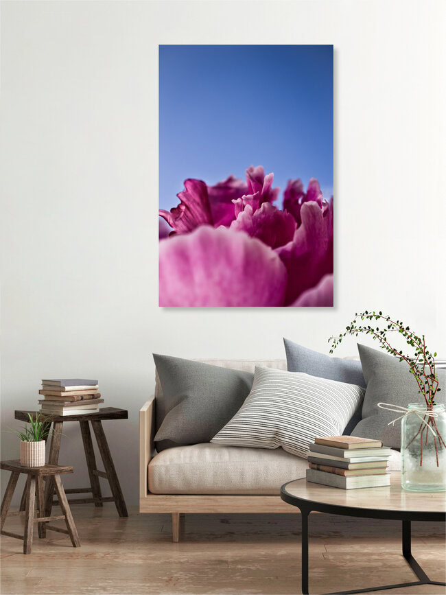 Pfingstrose, Deutschland – Fotokunst von Gregor Ingenhoven als Poster oder Acrylglasbild