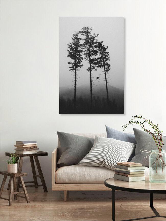 Tönsberg im Teutoburger Wald im November, Deutschland – Fotokunst von Nadja Jacke als Poster oder Acrylglasbild