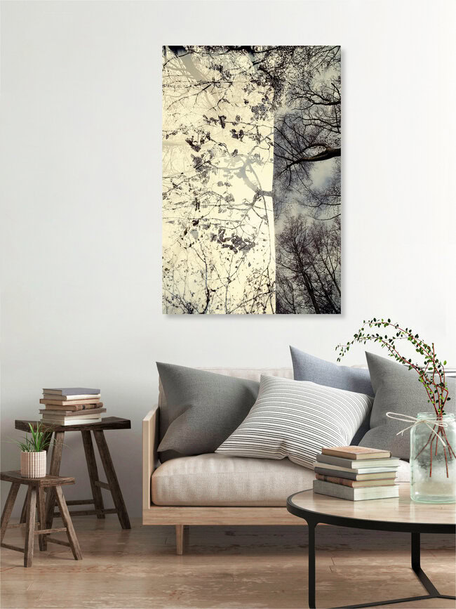 Zauberwald, Deutschland – Fotokunst von Rolf Bökemeier als Poster oder Acrylglasbild