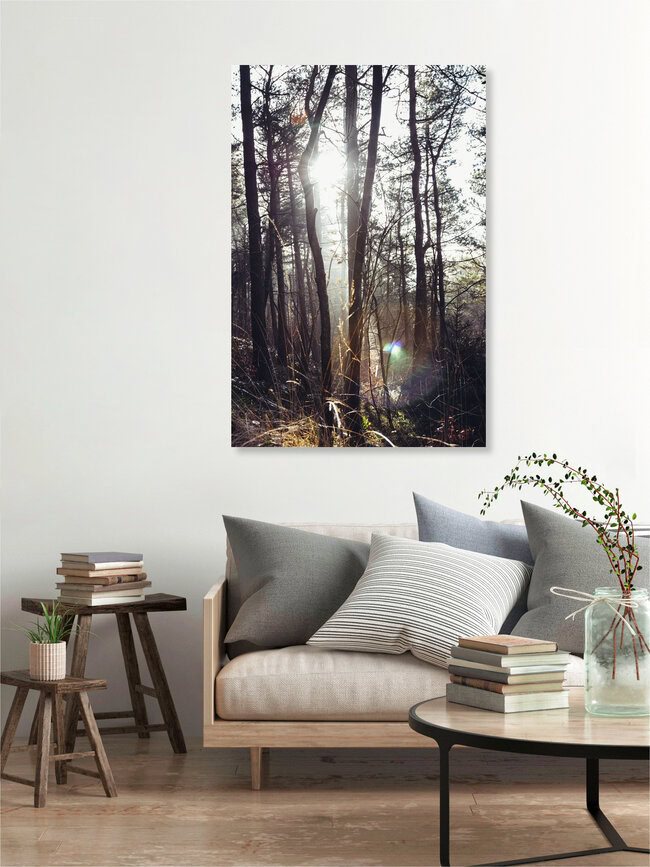 Teutoburger Wald in strahlendem Sonnenlicht, Deutschland – Fotokunst von Nadja Jacke als Poster oder Acrylglasbild