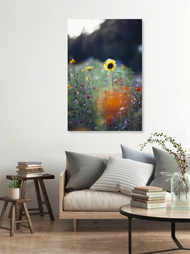 Sommerblumen am Straßenrand, Deutschland – Fotokunst von Nadja Jacke als Poster oder Acrylglasbild