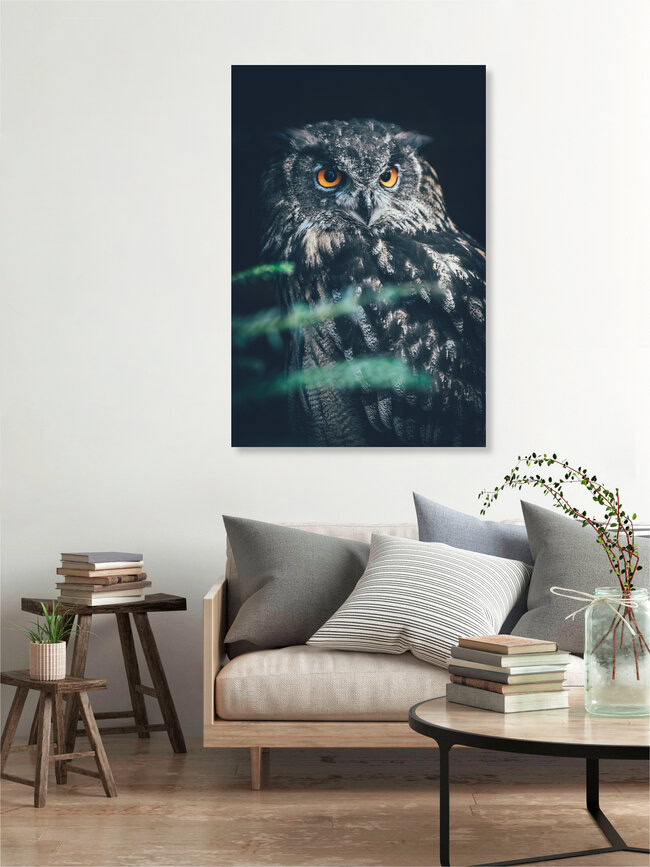 Bubo bubo, Germany – wall art by Patrick Monatsberger as Poster or Acrylic Glass Print