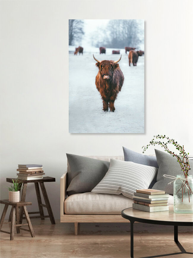 Kuh and the Gang, Deutschland – Fotokunst von Patrick Monatsberger als Poster oder Acrylglasbild