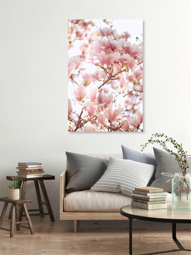 Magnolie, Deutschland – Fotokunst von Sabrina Ziegenhorn als Poster oder Acrylglasbild