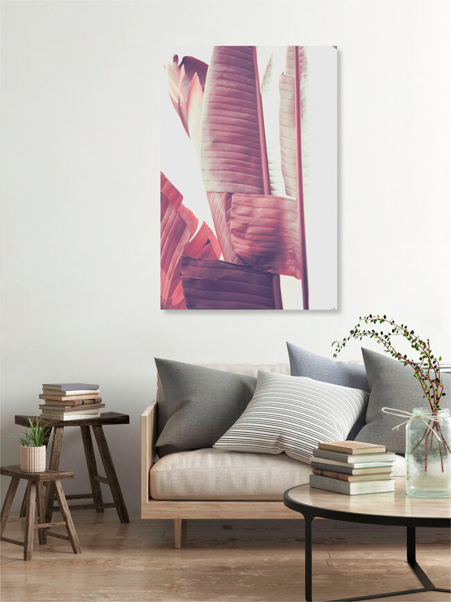 Bananenblätter, Deutschland – Fotokunst von Sabrina Ziegenhorn als Poster oder Acrylglasbild