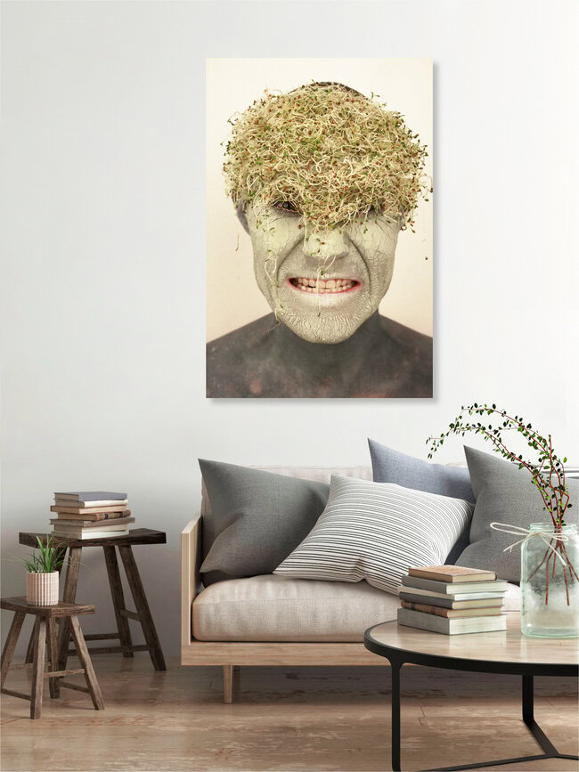 Afalfa, Hors serie, France – wall art by Enora Lalet as Poster or Acrylic Glass Print